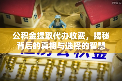 田寮公积金提取代办收费，揭秘背后的真相与选择的智慧