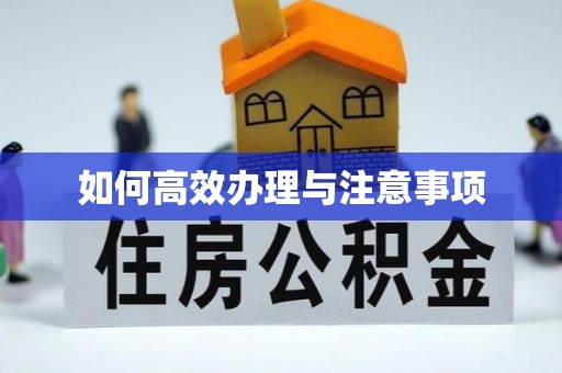 田寮如何高效办理与注意事项