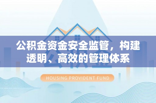 田寮公积金资金安全监管，构建透明、高效的管理体系
