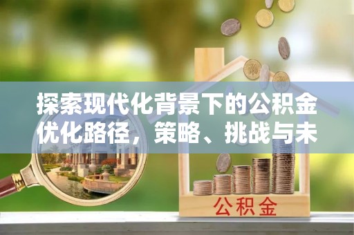 田寮探索现代化背景下的公积金优化路径，策略、挑战与未来展望