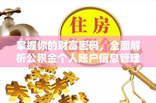 田寮掌握你的财富密码，全面解析公积金个人账户信息管理与优化