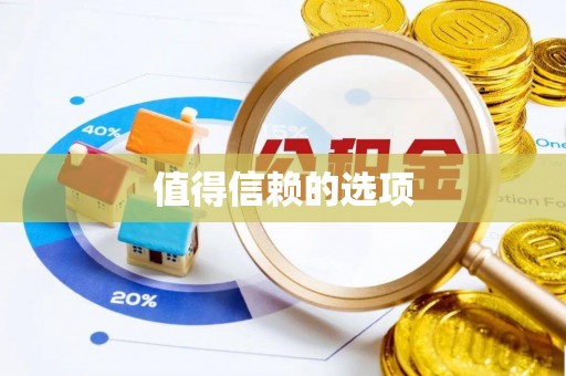 田寮值得信赖的选项